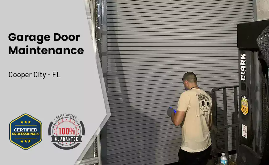 Garage Door Maintenance Cooper City - FL 